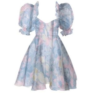 BNWT Selkie Monet Parliament